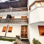 Stella Alpina Tarvisio