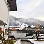 Stella Alpina * Tarvisio