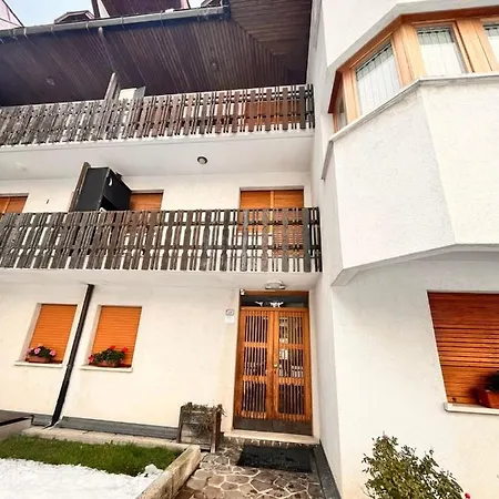 Stella Alpina Tarvisio