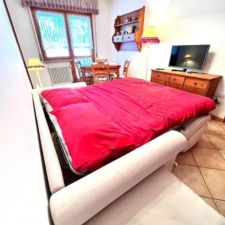 Stella Alpina * 塔尔维西奥