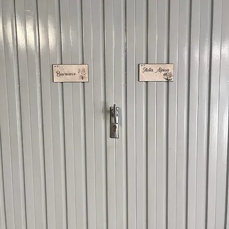 Stella Alpina 公寓 塔尔维西奥